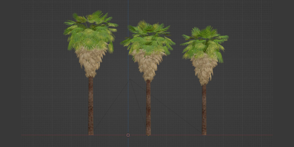 washingtonia filifera palm collection vol 55-Blender