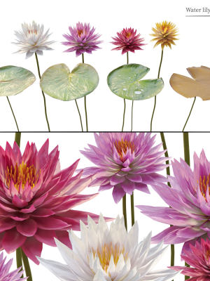 water-lilies-02-3d-model-max-obj-fbx