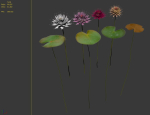 Water lilies 02