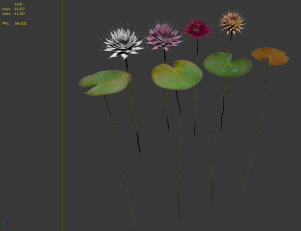 Water lilies 02