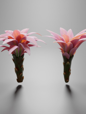 water-lily-flower-bud-3d-model-obj-fbx-blend
