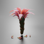 Water lily flower bud
