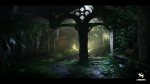 Watermills  Nature Environment