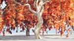 Weeping Japanese Maple Trees