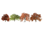 Weeping Japanese Maple Trees