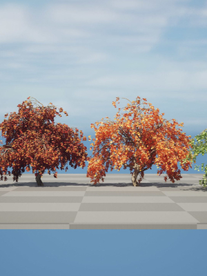 weeping-japanese-maple-trees-3d-model-ce41f8595b