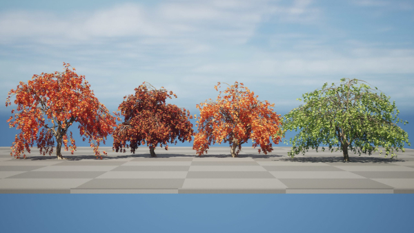 Weeping Japanese Maple Trees