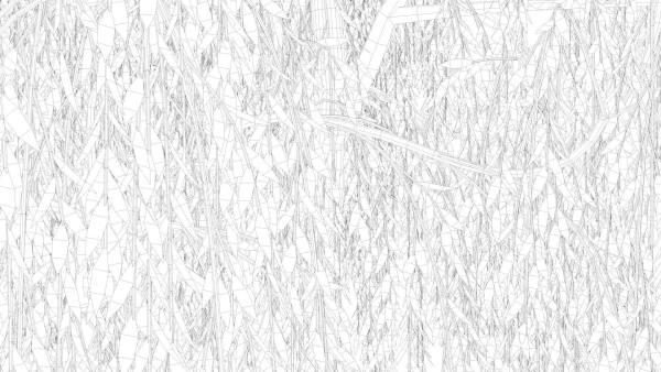 Weeping Willow