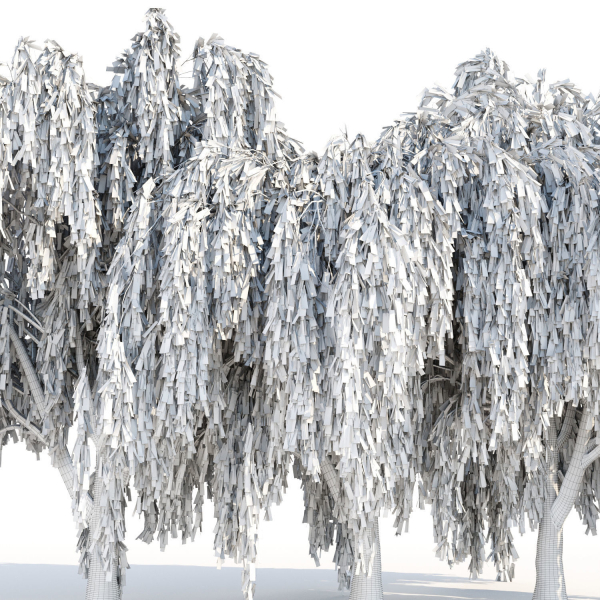 Weeping willow trees collection vol 115