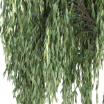 Weeping willow trees collection vol 115