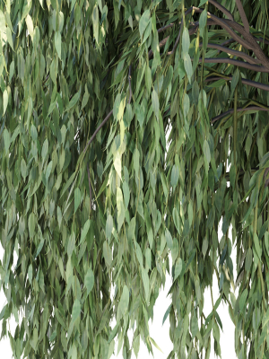 weeping-willow-trees-collection-vol-115-3d-model-d3042207f7