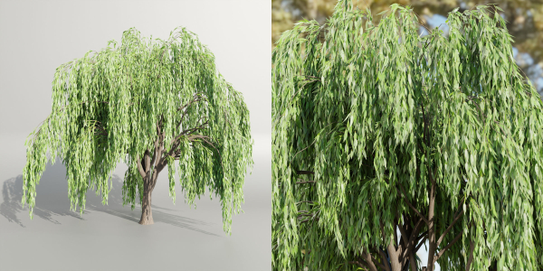 Weeping willow trees collection vol 115-Blender