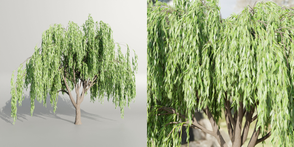 Weeping willow trees collection vol 115-Blender