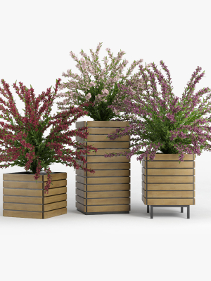 weigela-3d-model-max-obj-fbx