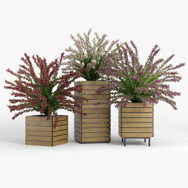 Weigela wooden planter with flowers