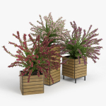 Weigela wooden planter with flowers