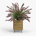 Weigela wooden planter with flowers