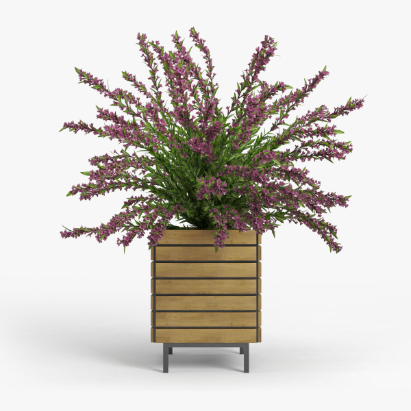 Weigela wooden planter with flowers
