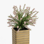 Weigela wooden planter with flowers
