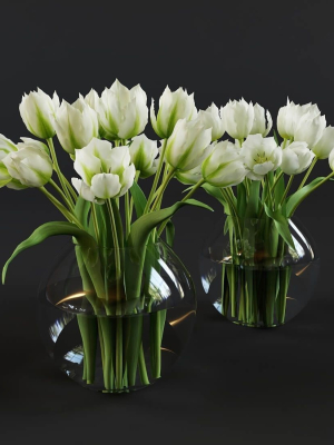 White and green tulips