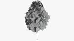 White Birch v1