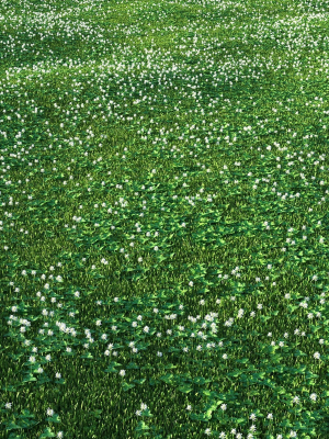 white-clover-lawn-3d-model-663c8b63b4