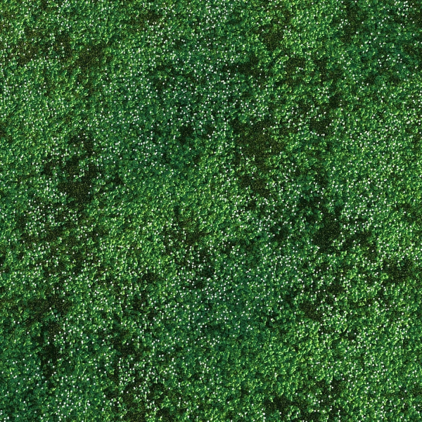 white Clover lawn