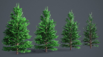 White Fir - Abies Concolor pack with LODs