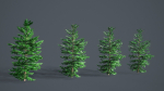 White Fir - Abies Concolor pack with LODs