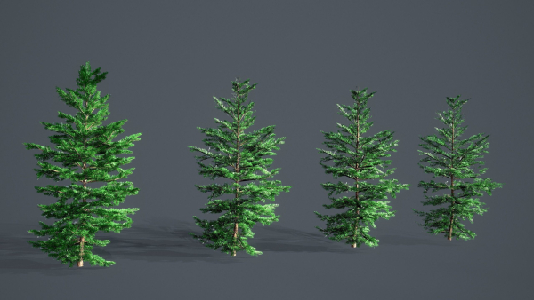 White Fir - Abies Concolor pack with LODs