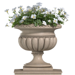 White Flowers in a classic Flowerpot for Decorating the Facade