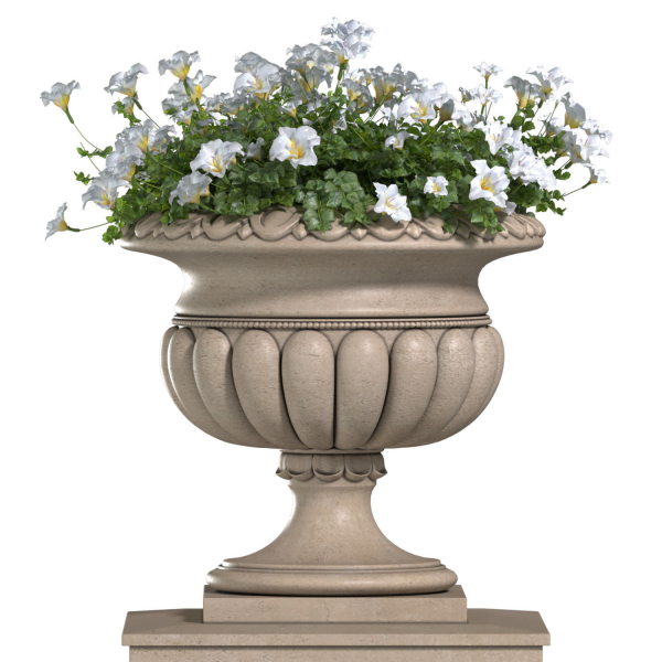 White Flowers in a classic Flowerpot for Decorating the Facade
