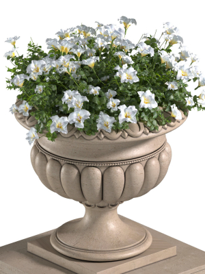 white-flowers-in-a-classic-flowerpot-for-decorating-the-facade-3d-model-d7faedf4ec