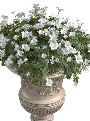 white-flowers-in-a-classic-vase-for-decorating-the-facade-3d-model-97b4dfbb43
