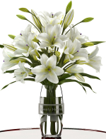 white lilly