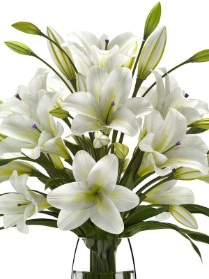 white-lilly-3d-model-0fd03aa458