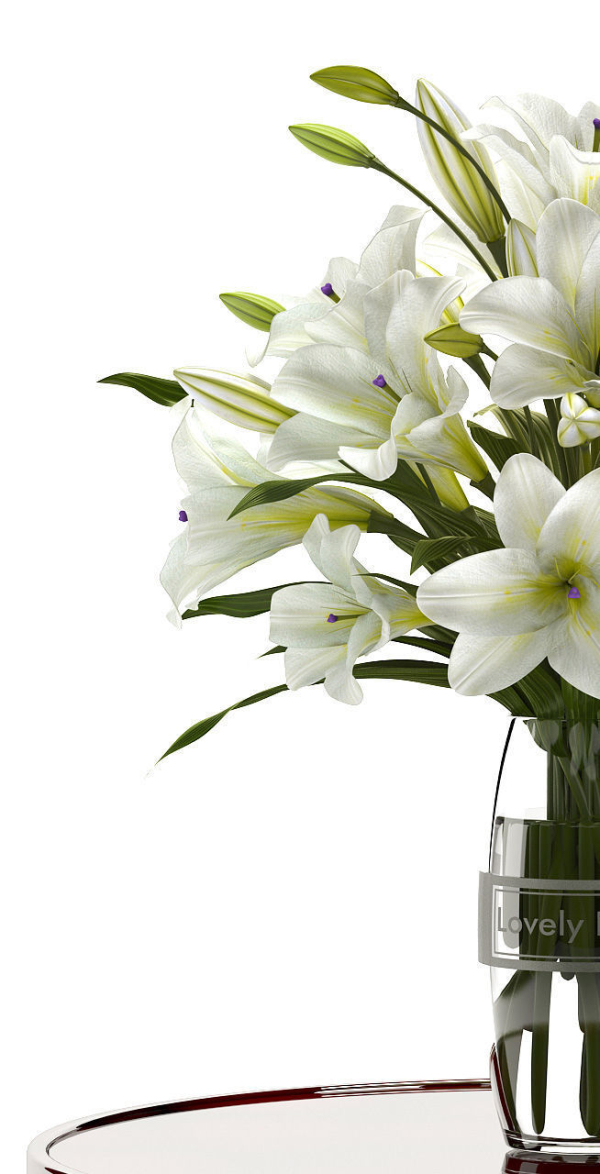 white lilly