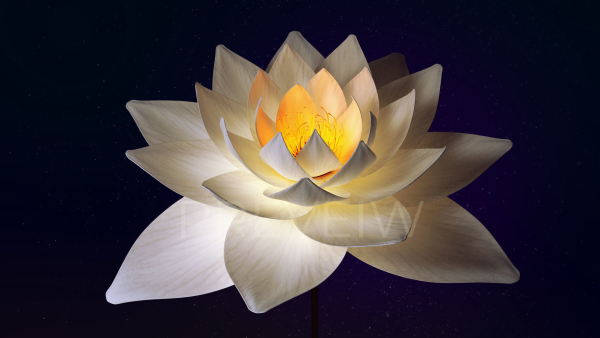 White Lotus- Water Lily 3d Animated