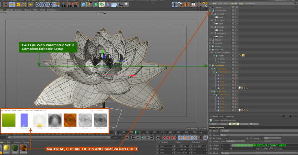 White Lotus- Water Lily 3d Animated