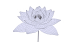 White Lotus- Water Lily 3d Animated