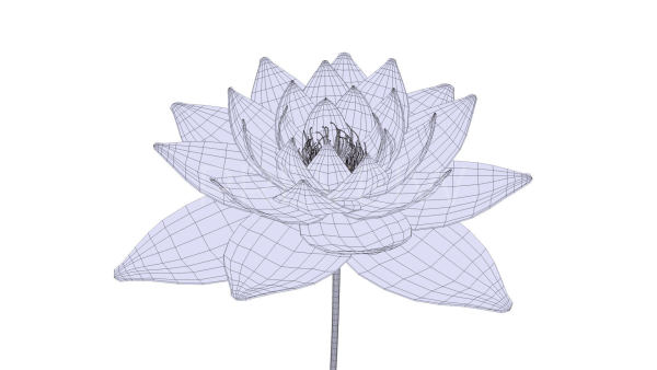 White Lotus- Water Lily 3d Animated