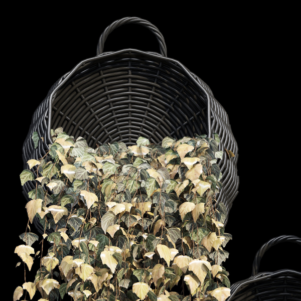 Wicker basket four