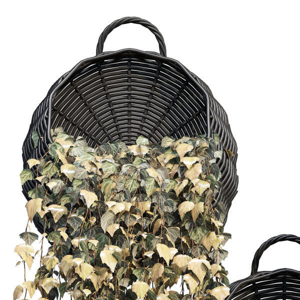 Wicker basket four