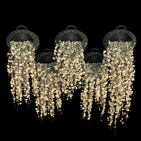 Wicker basket four