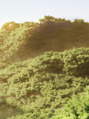 wide-forest-scene-3d-model-animated-blend