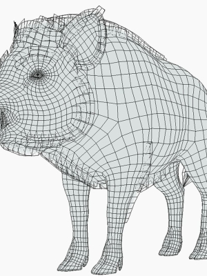 wild-boar-male-3d-model-4da5878a07