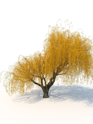 willow-fall-tree-3d-model-max-obj-fbx
