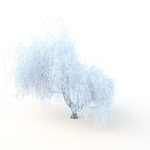 willow  fall tree