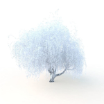 willow  fall tree
