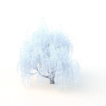 willow  fall tree